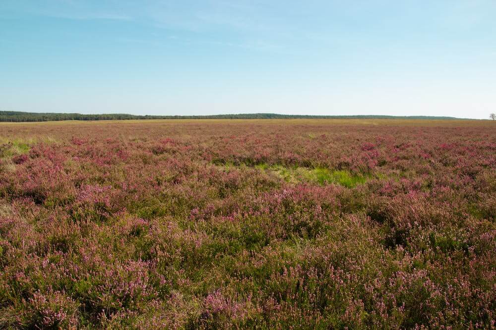 Camping Veluwe