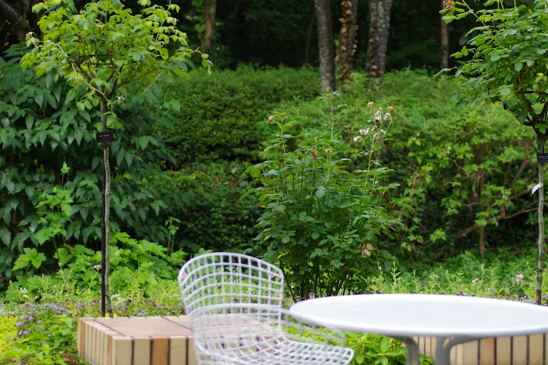 A white table and a white chair in a garden