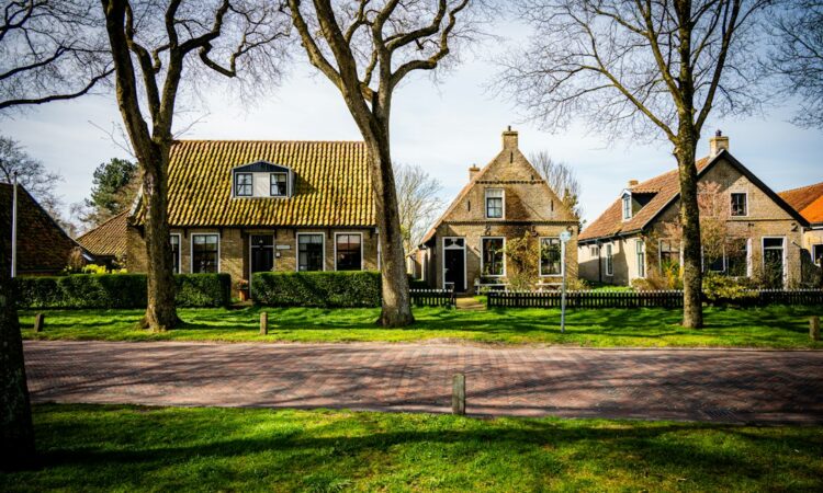 Historic houses with bare trees along a road