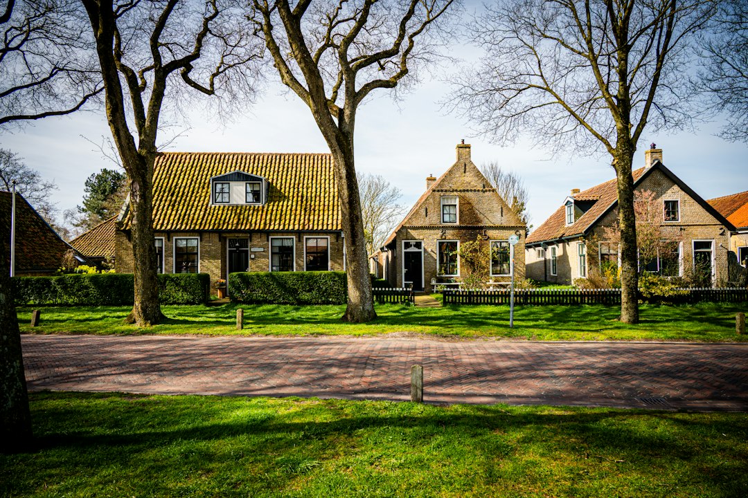 Historic houses with bare trees along a road